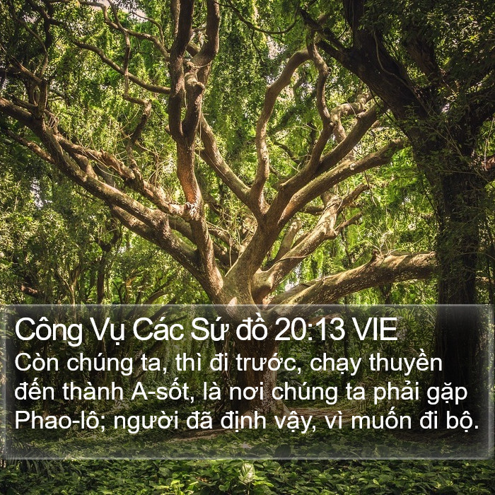 Công Vụ Các Sứ đồ 20:13 VIE Bible Study