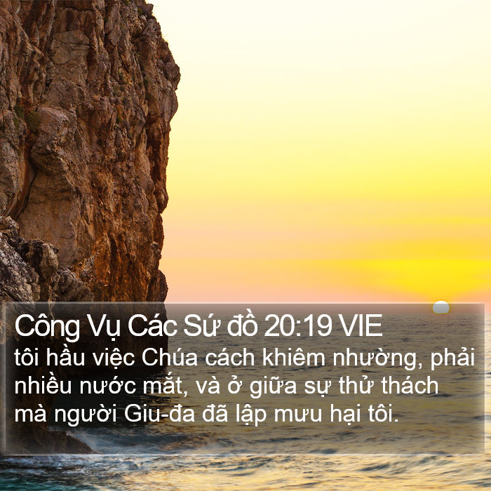 Công Vụ Các Sứ đồ 20:19 VIE Bible Study