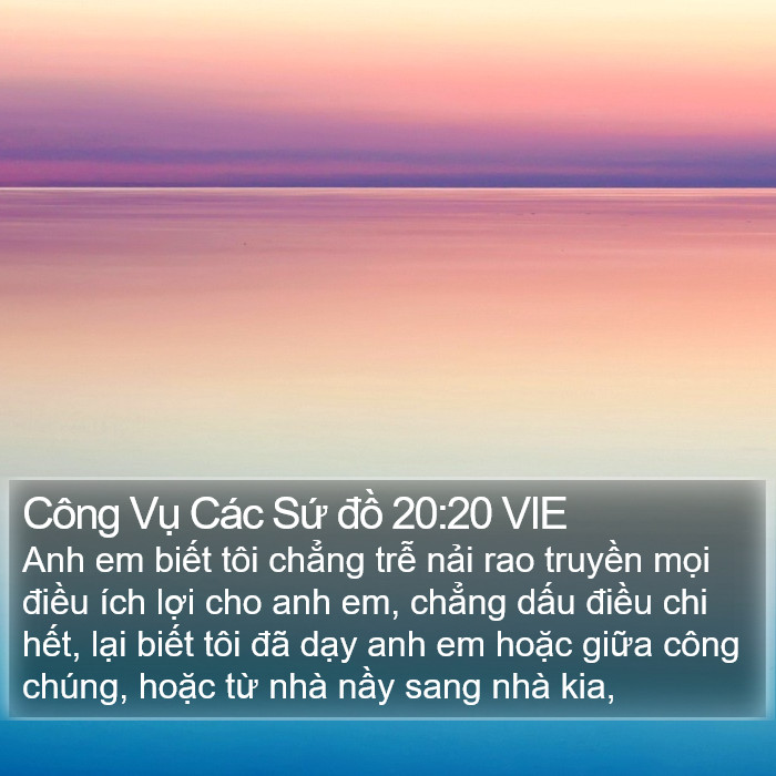 Công Vụ Các Sứ đồ 20:20 VIE Bible Study
