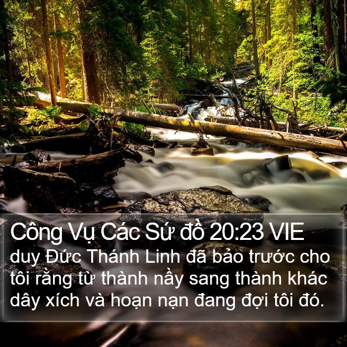 Công Vụ Các Sứ đồ 20:23 VIE Bible Study