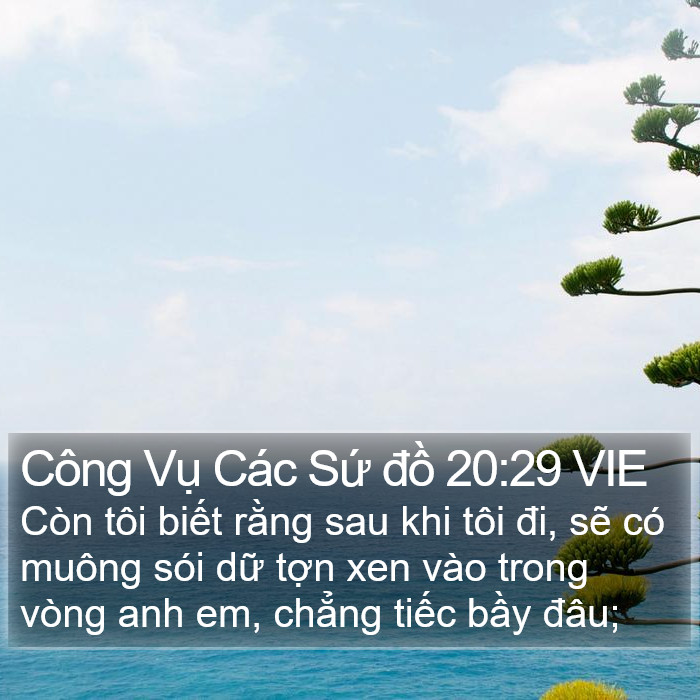 Công Vụ Các Sứ đồ 20:29 VIE Bible Study