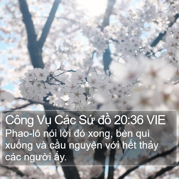 Công Vụ Các Sứ đồ 20:36 VIE Bible Study