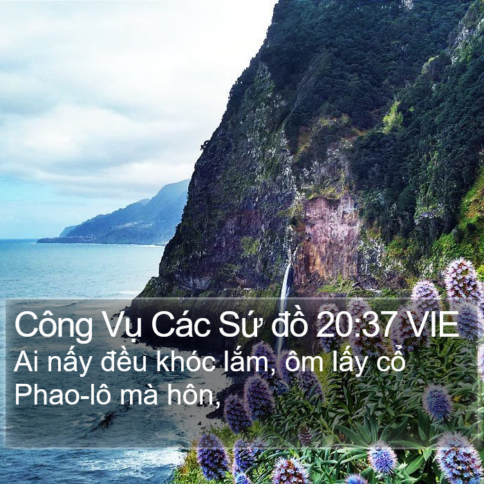 Công Vụ Các Sứ đồ 20:37 VIE Bible Study