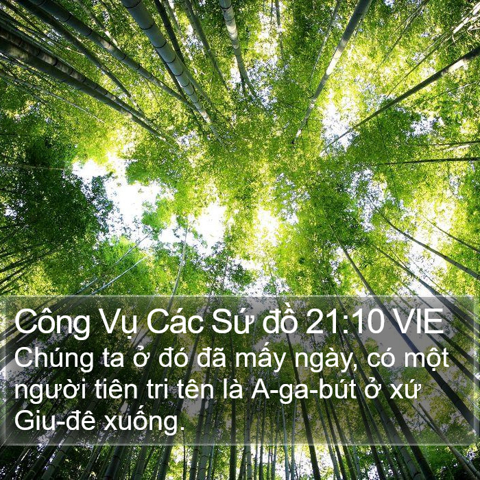 Công Vụ Các Sứ đồ 21:10 VIE Bible Study
