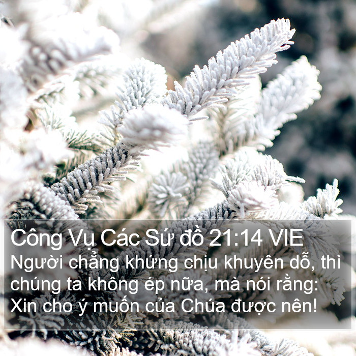 Công Vụ Các Sứ đồ 21:14 VIE Bible Study