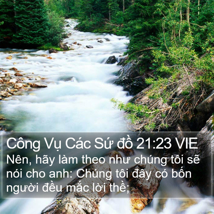 Công Vụ Các Sứ đồ 21:23 VIE Bible Study