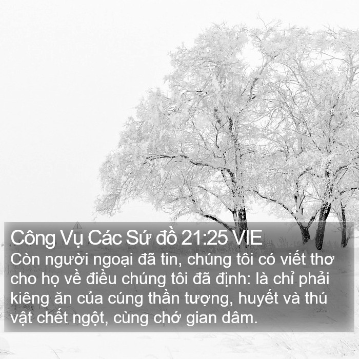 Công Vụ Các Sứ đồ 21:25 VIE Bible Study