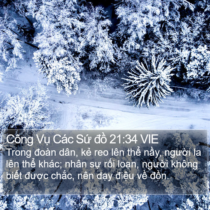 Công Vụ Các Sứ đồ 21:34 VIE Bible Study