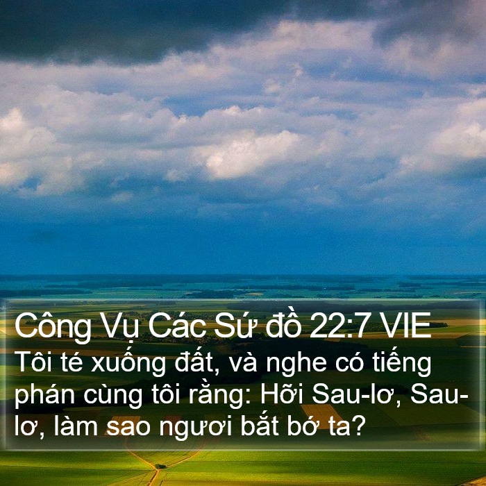 Công Vụ Các Sứ đồ 22:7 VIE Bible Study