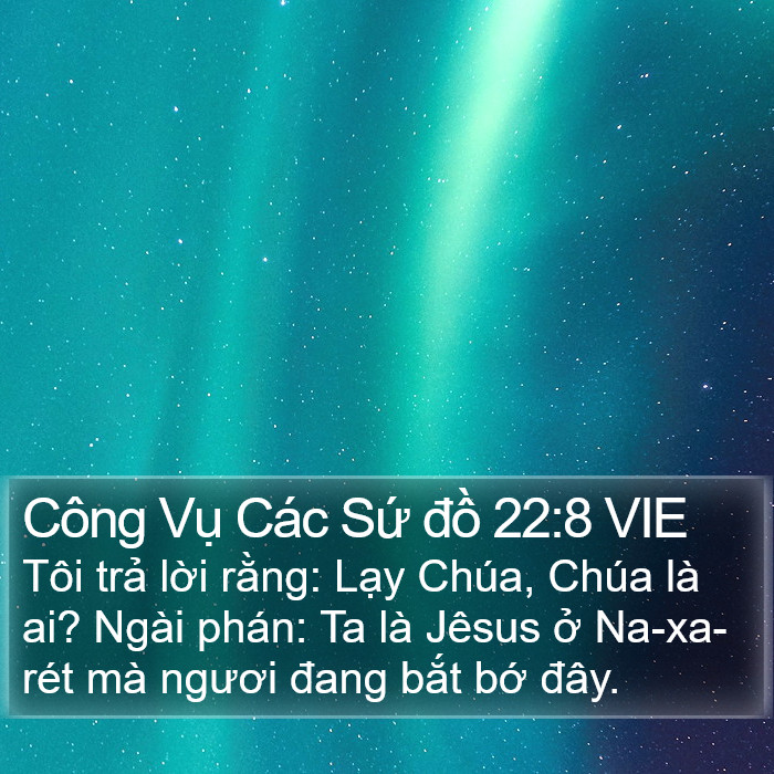 Công Vụ Các Sứ đồ 22:8 VIE Bible Study