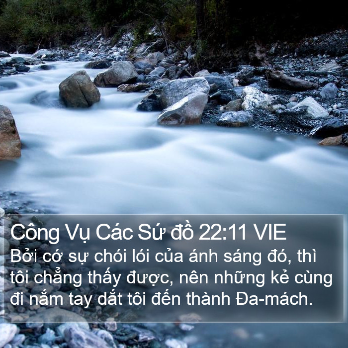 Công Vụ Các Sứ đồ 22:11 VIE Bible Study