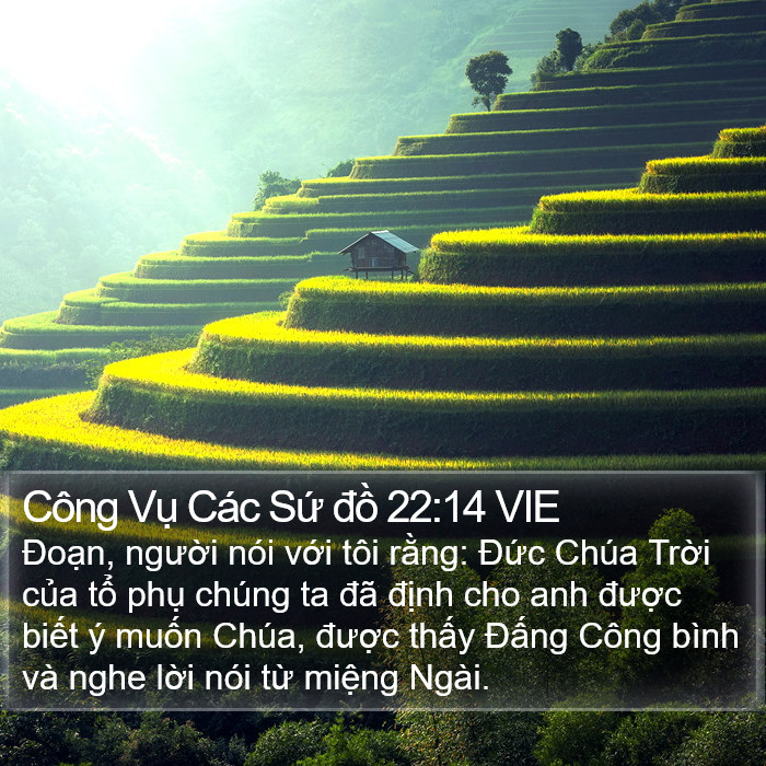 Công Vụ Các Sứ đồ 22:14 VIE Bible Study