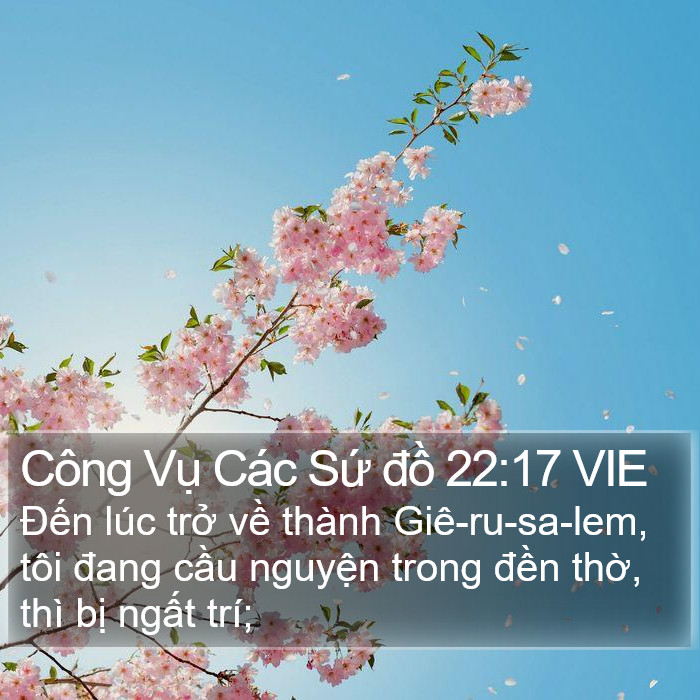 Công Vụ Các Sứ đồ 22:17 VIE Bible Study