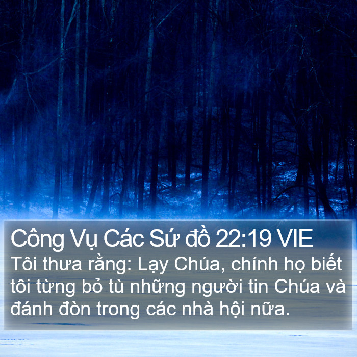 Công Vụ Các Sứ đồ 22:19 VIE Bible Study