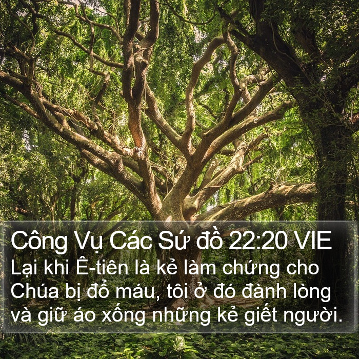 Công Vụ Các Sứ đồ 22:20 VIE Bible Study