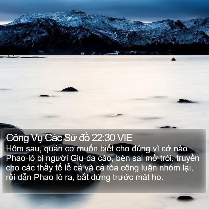 Công Vụ Các Sứ đồ 22:30 VIE Bible Study