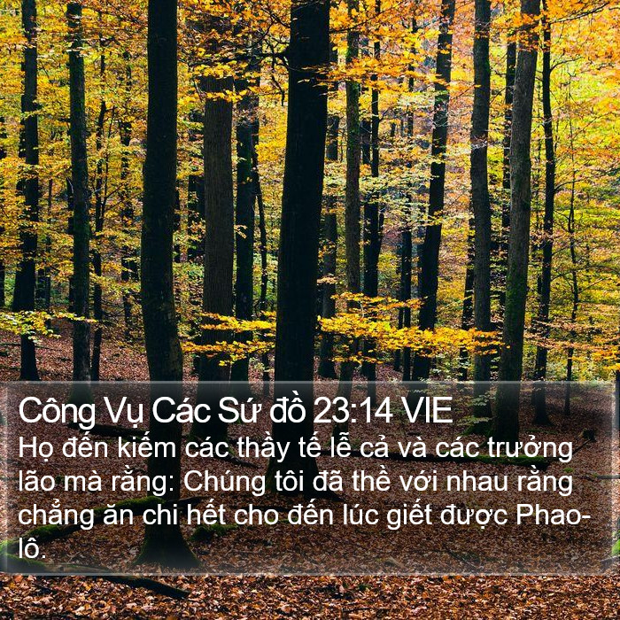 Công Vụ Các Sứ đồ 23:14 VIE Bible Study