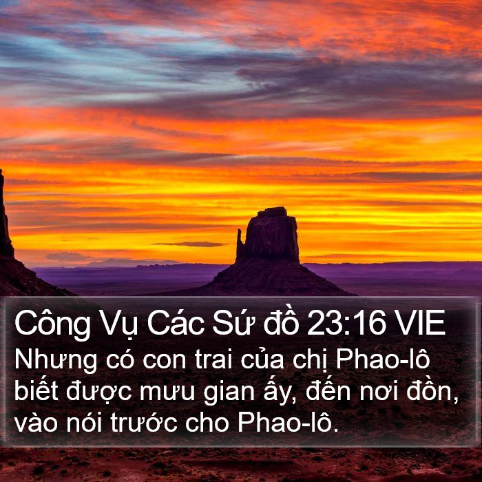 Công Vụ Các Sứ đồ 23:16 VIE Bible Study