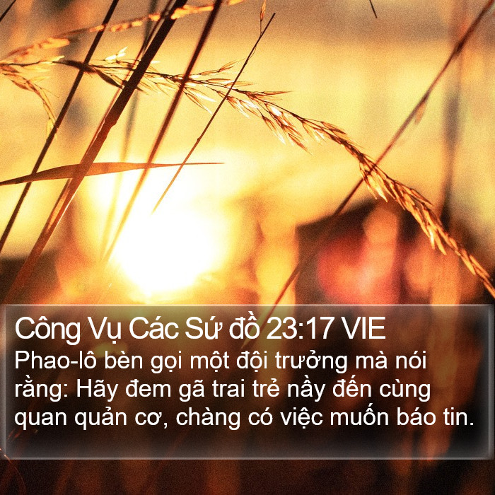 Công Vụ Các Sứ đồ 23:17 VIE Bible Study