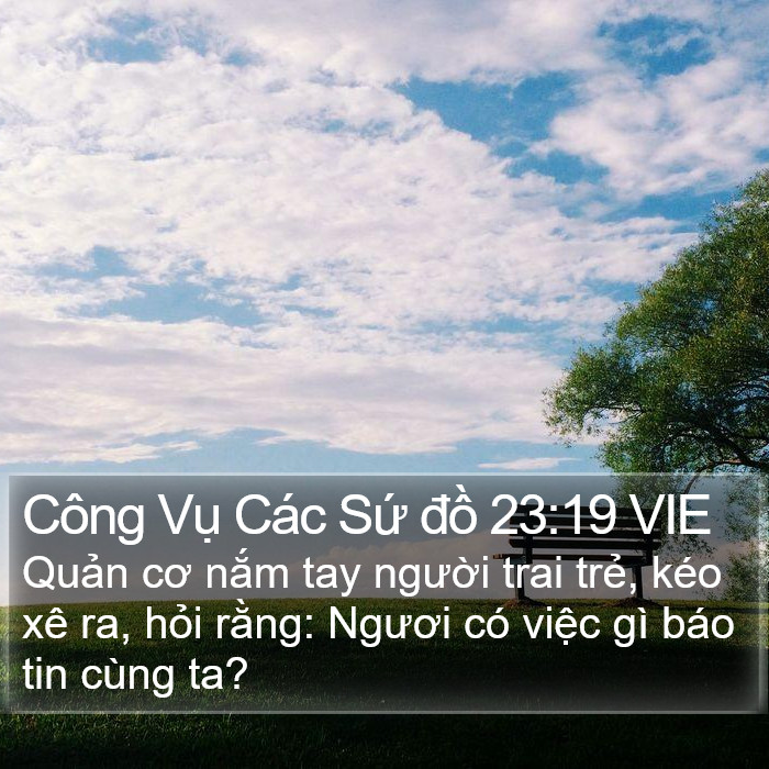 Công Vụ Các Sứ đồ 23:19 VIE Bible Study