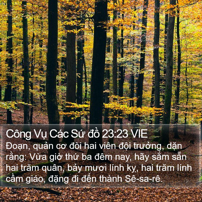 Công Vụ Các Sứ đồ 23:23 VIE Bible Study