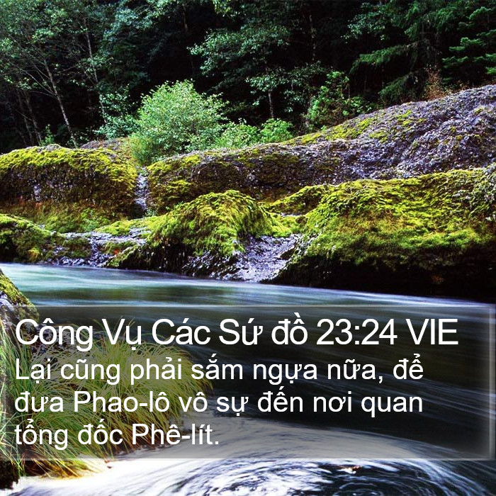 Công Vụ Các Sứ đồ 23:24 VIE Bible Study