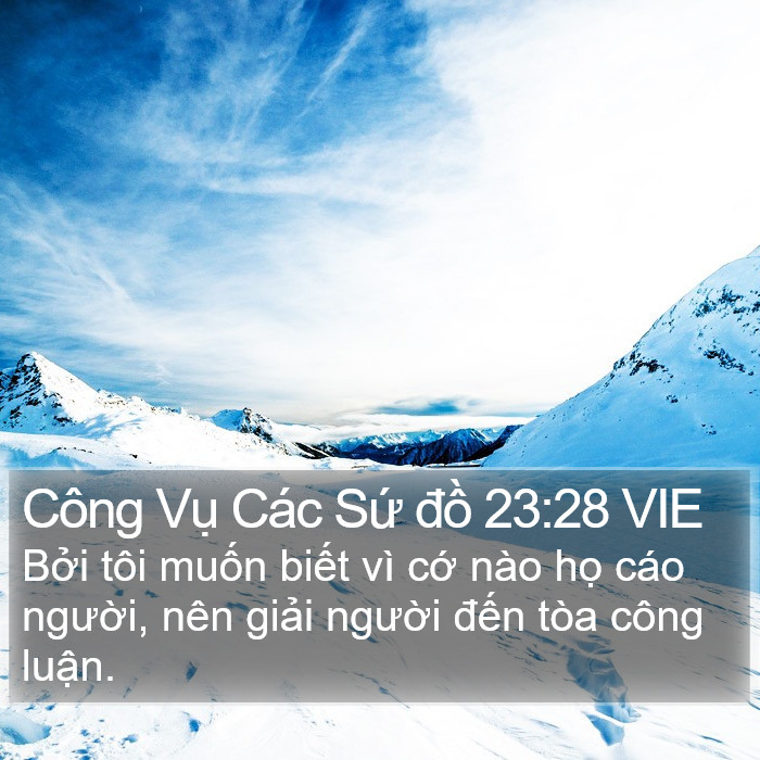 Công Vụ Các Sứ đồ 23:28 VIE Bible Study