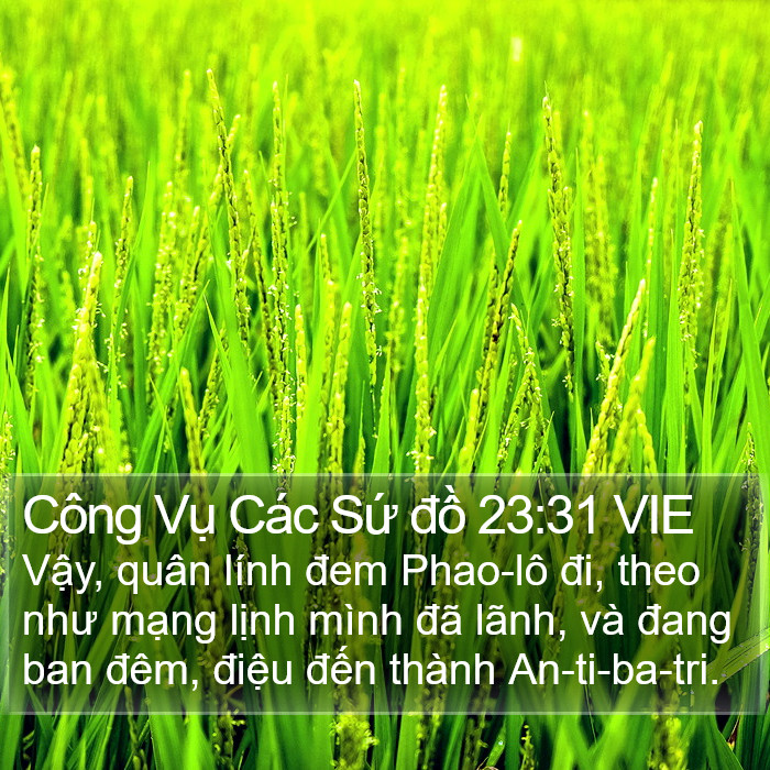 Công Vụ Các Sứ đồ 23:31 VIE Bible Study