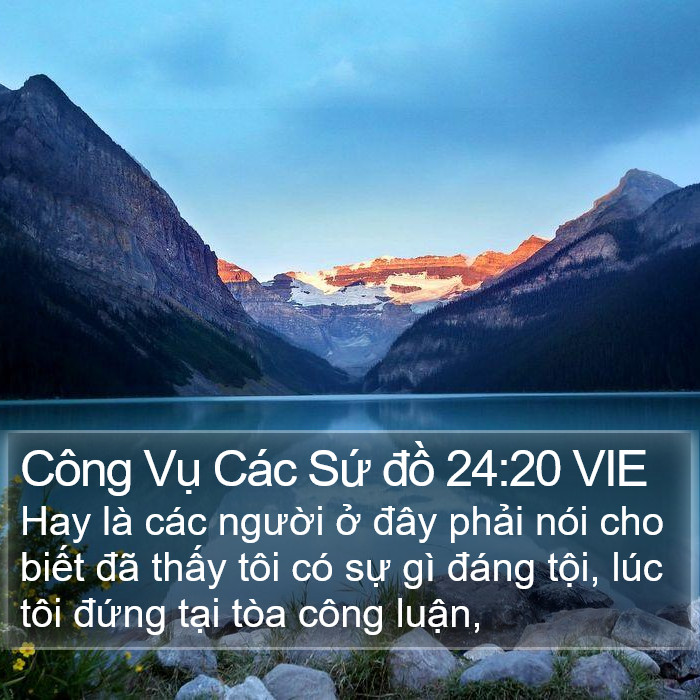 Công Vụ Các Sứ đồ 24:20 VIE Bible Study