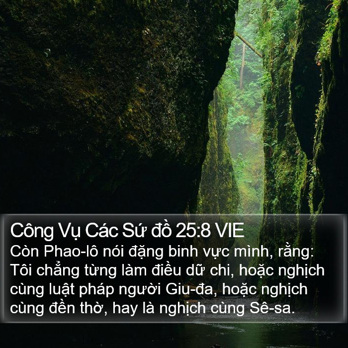 Công Vụ Các Sứ đồ 25:8 VIE Bible Study