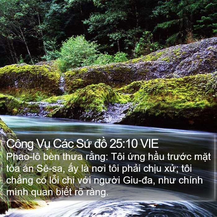 Công Vụ Các Sứ đồ 25:10 VIE Bible Study