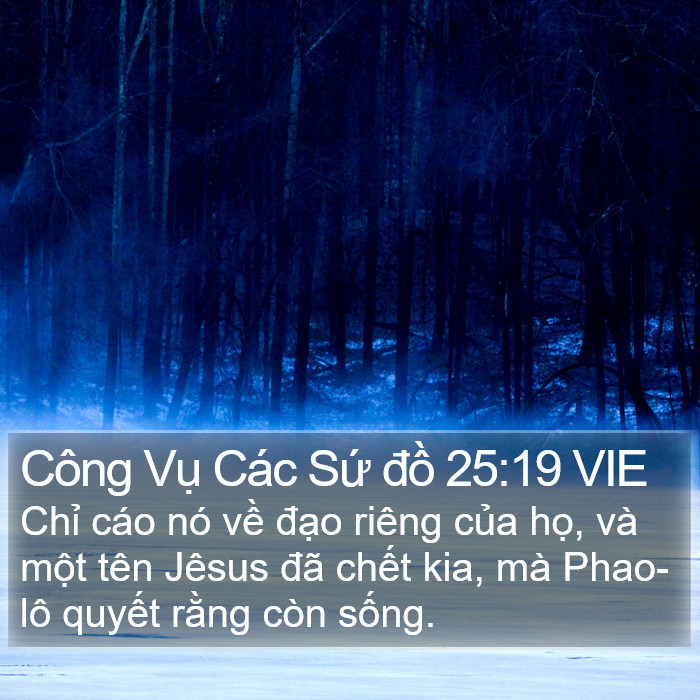 Công Vụ Các Sứ đồ 25:19 VIE Bible Study