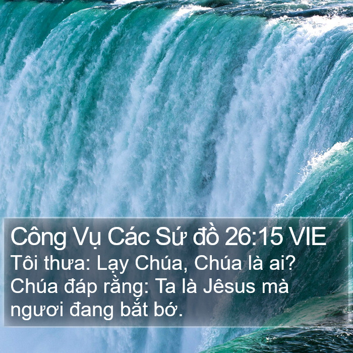 Công Vụ Các Sứ đồ 26:15 VIE Bible Study