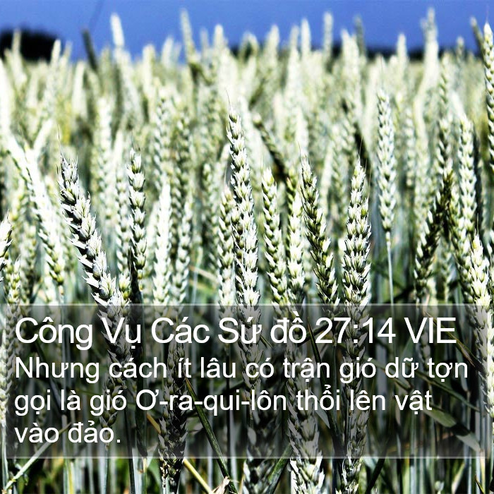 Công Vụ Các Sứ đồ 27:14 VIE Bible Study
