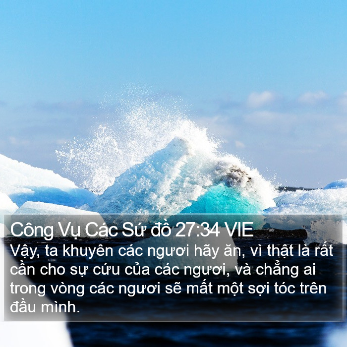 Công Vụ Các Sứ đồ 27:34 VIE Bible Study