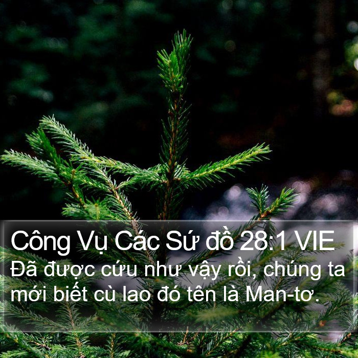 Công Vụ Các Sứ đồ 28:1 VIE Bible Study