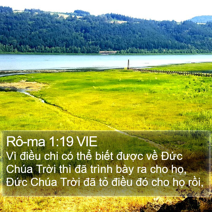 Rô-ma 1:19 VIE Bible Study