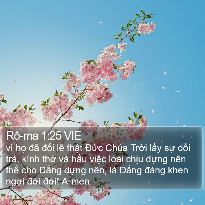 Rô-ma 1:25 VIE Bible Study