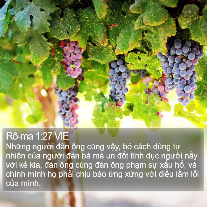 Rô-ma 1:27 VIE Bible Study