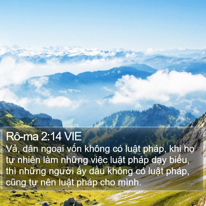 Rô-ma 2:14 VIE Bible Study