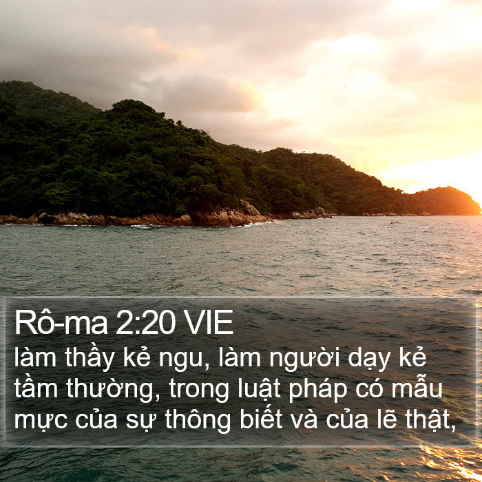 Rô-ma 2:20 VIE Bible Study