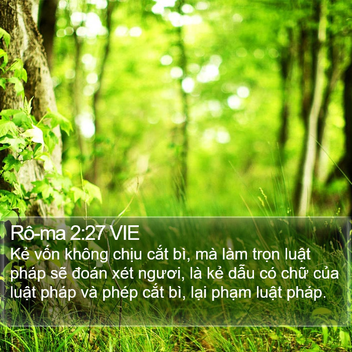 Rô-ma 2:27 VIE Bible Study