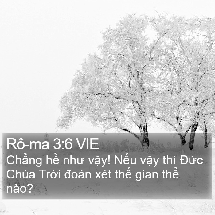 Rô-ma 3:6 VIE Bible Study