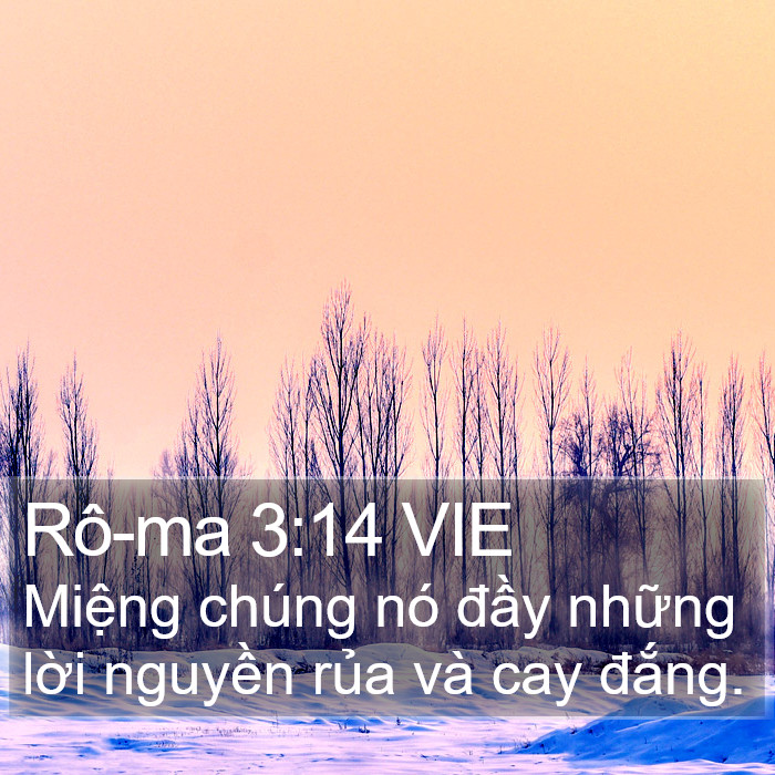 Rô-ma 3:14 VIE Bible Study
