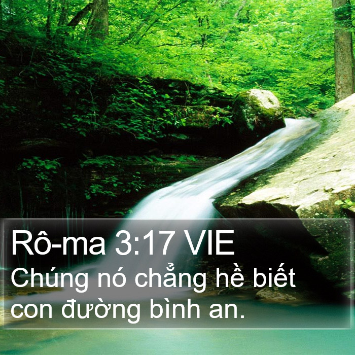 Rô-ma 3:17 VIE Bible Study