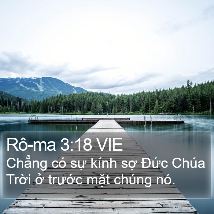 Rô-ma 3:18 VIE Bible Study
