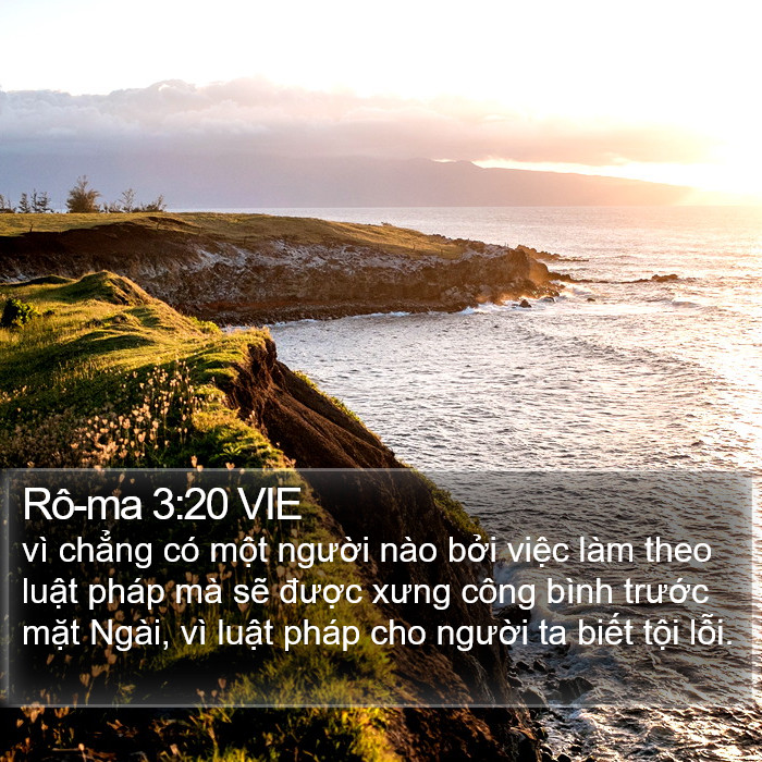 Rô-ma 3:20 VIE Bible Study