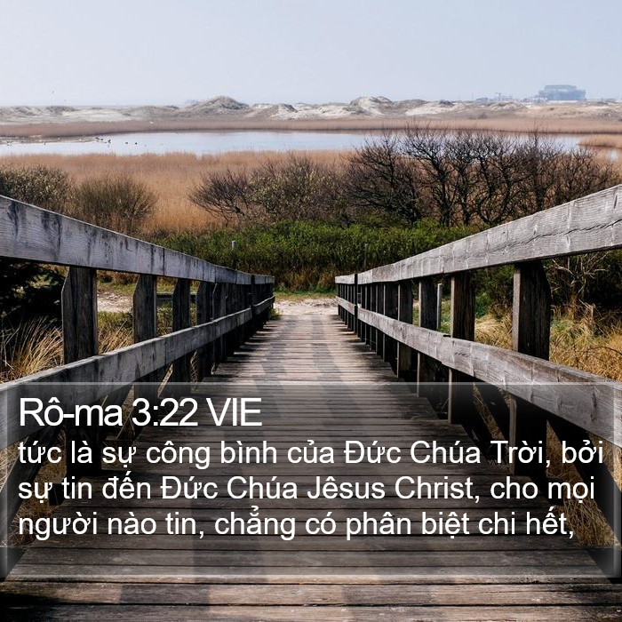 Rô-ma 3:22 VIE Bible Study
