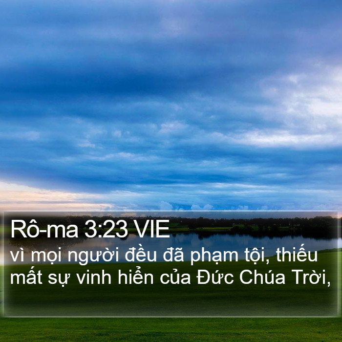 Rô-ma 3:23 VIE Bible Study