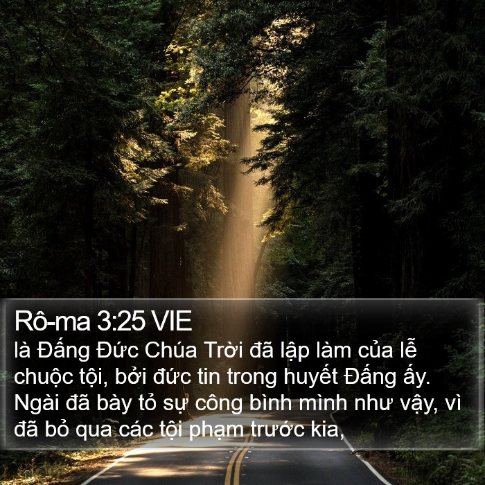 Rô-ma 3:25 VIE Bible Study